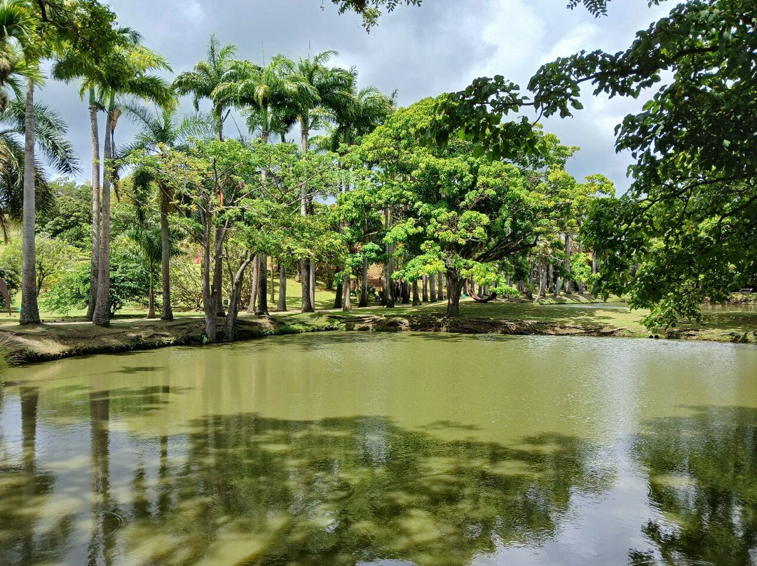 Habitation Clement-Le Francois必去景点