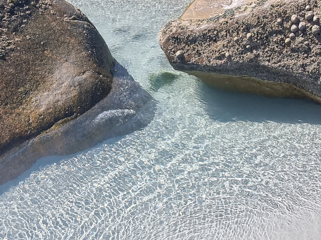 Plage de Trestraou-皮若斯必去景点