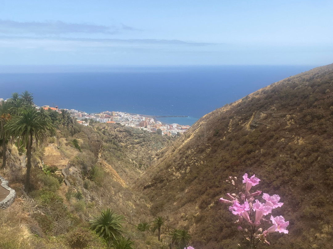 Maroparque Isla de La Palma-Brena Alta必去景点