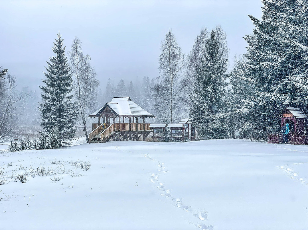 Jeziorka Bobrowe - Platforma Widokowa-Baligrod必去景点