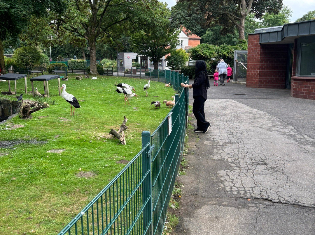 Tiergarten Mönchengladbach-门兴格拉德巴赫必去景点
