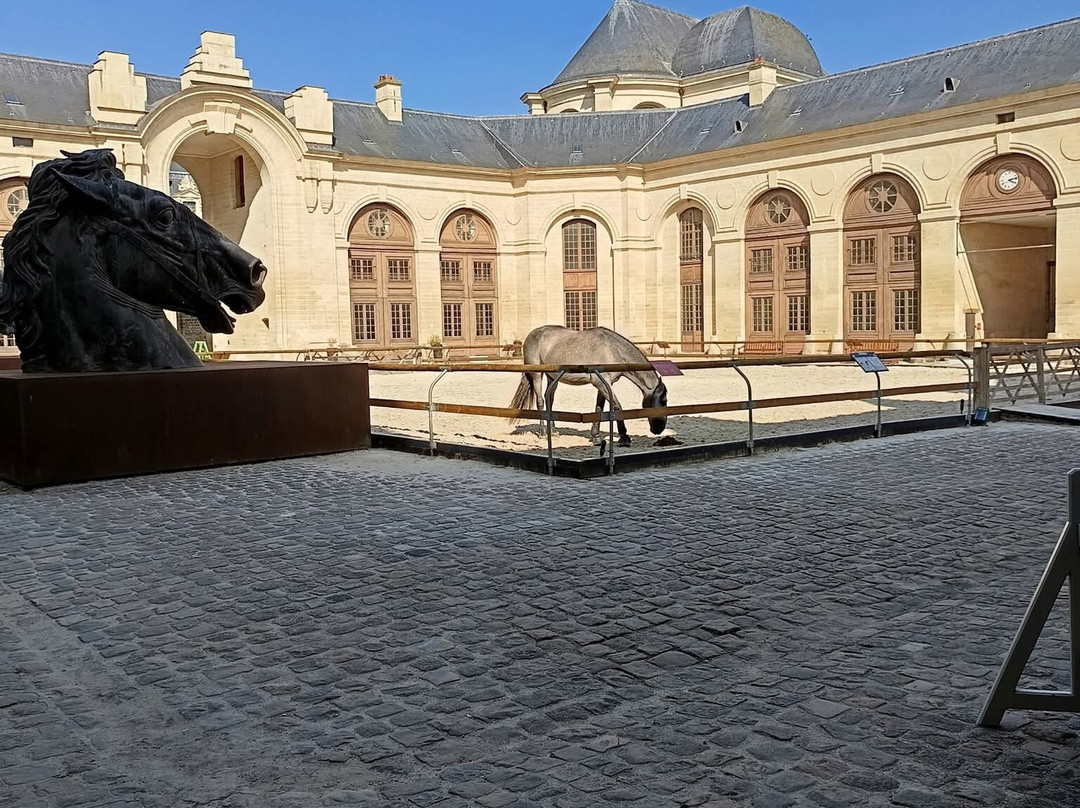Musée Vivant Du Cheval-尚蒂伊必去景点