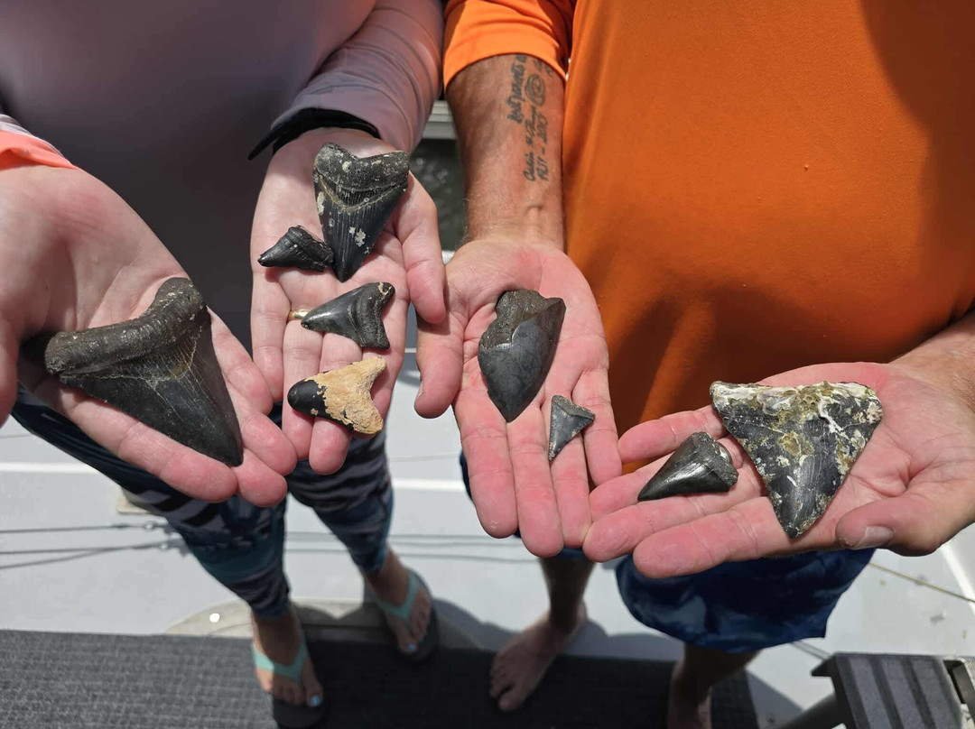 Gaspar's Dive N Board-恩格尔伍德必去景点