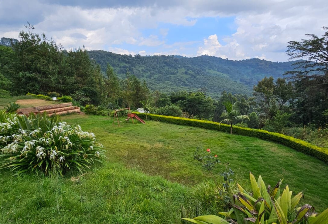 Lushoto Apiculture Museum-卢绍托必去景点