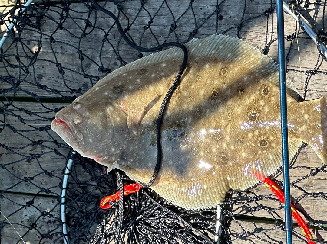 OC Fishing Pier-大洋城必去景点