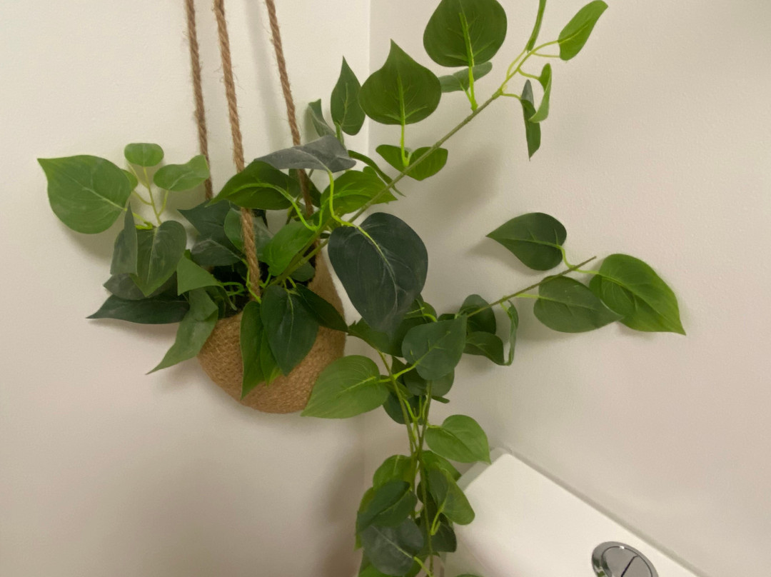 Nautilus Mooloolaba主图