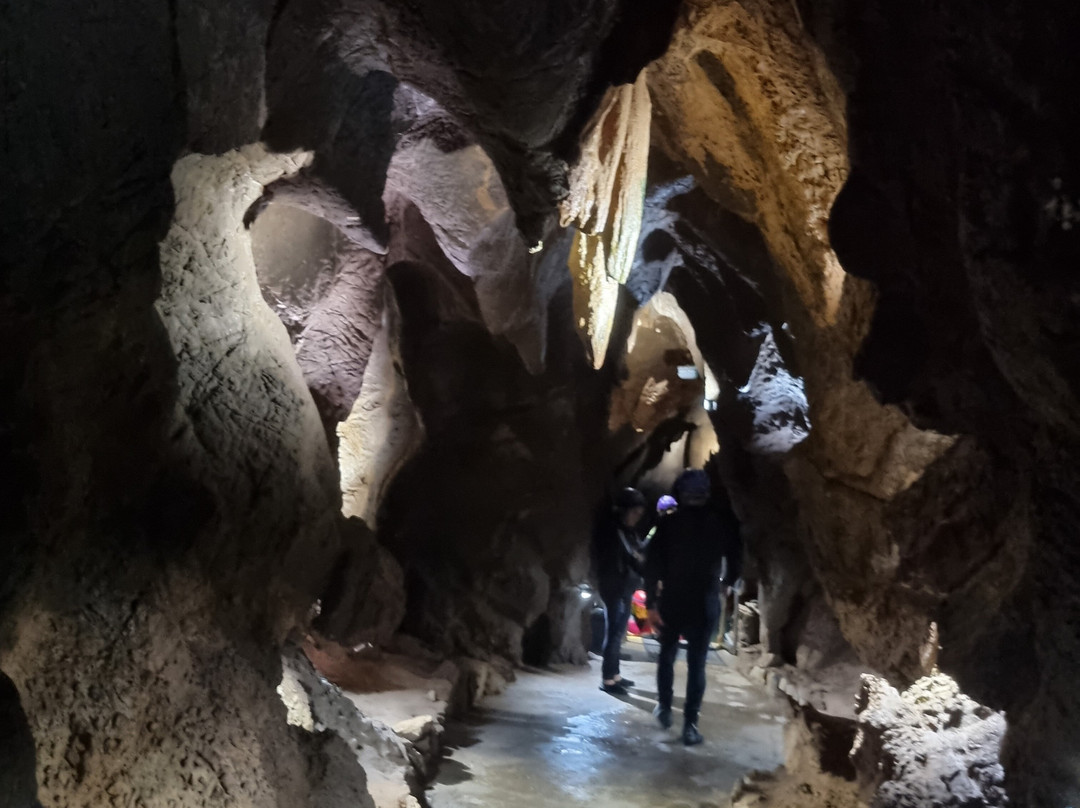 Viunatura-Figueroles必去景点