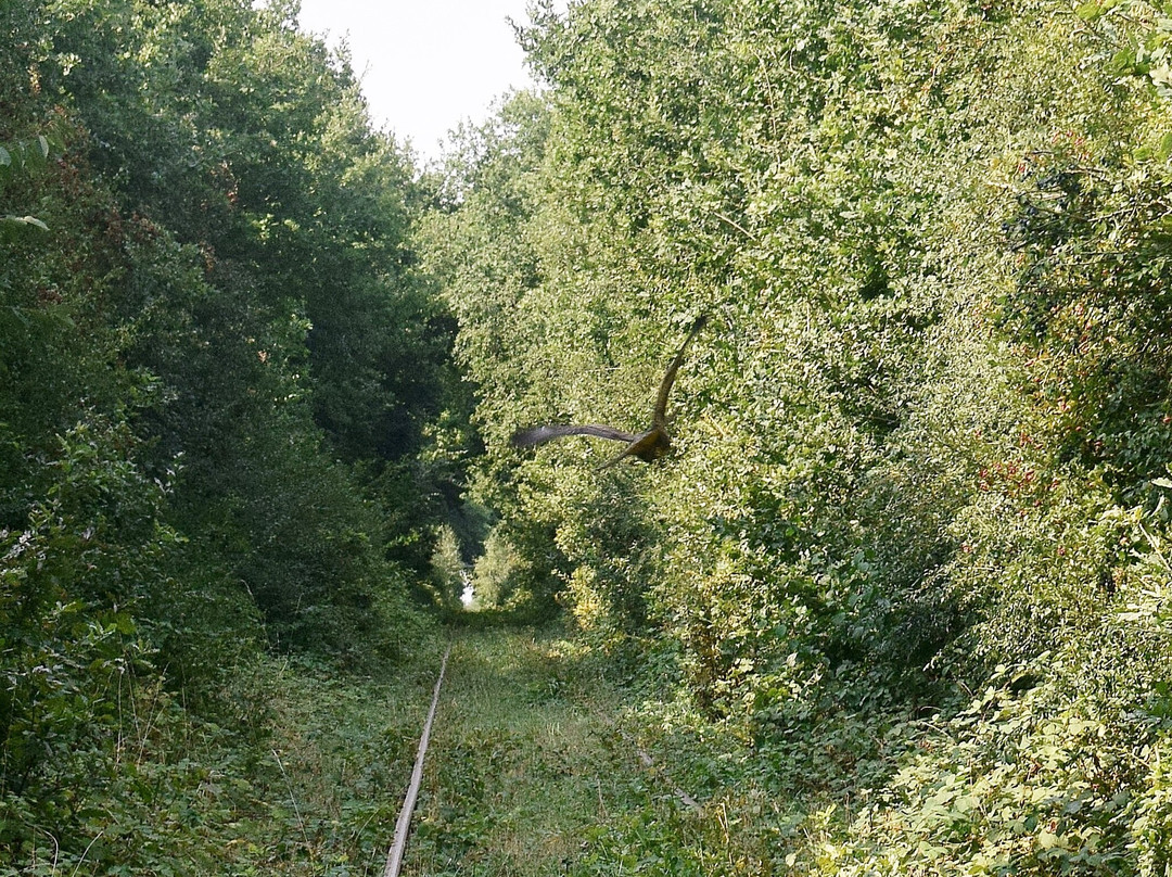 Velorail Du Pays Chartrain-Bailleau-Armenonville必去景点