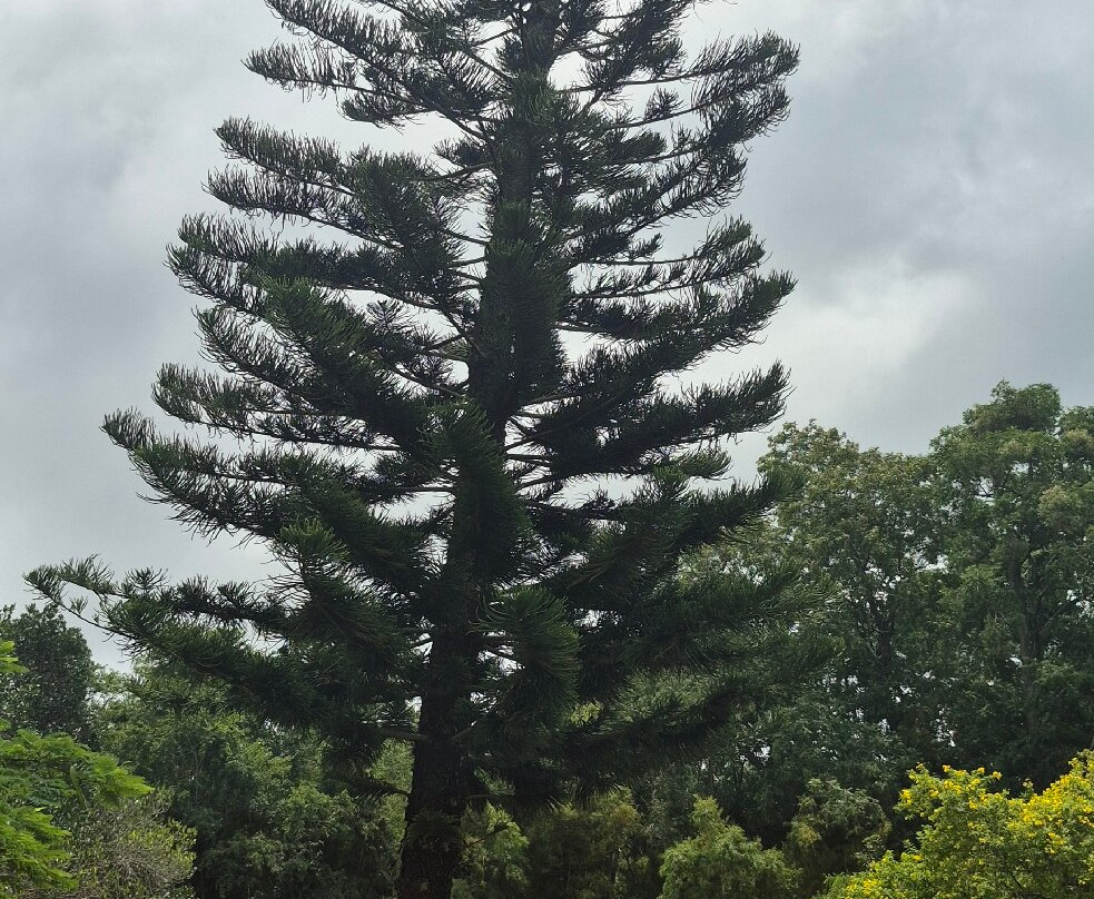 Yelagiri Nature Park-Yelagiri必去景点