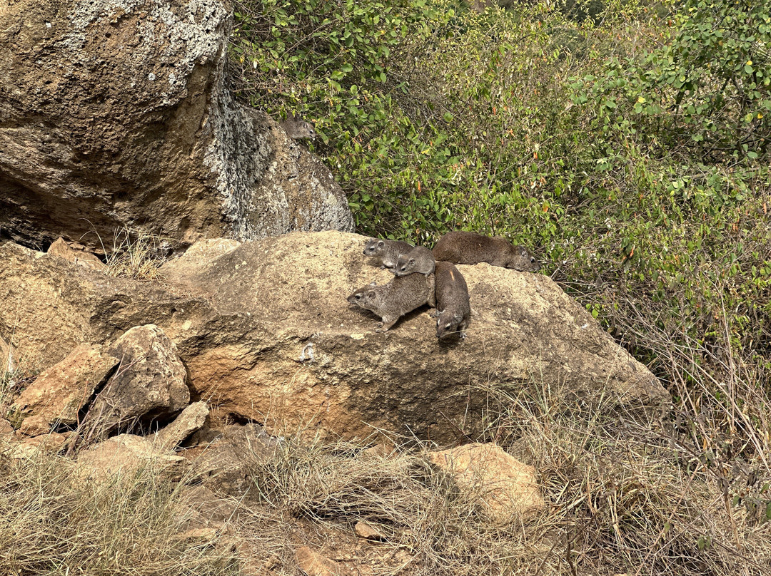 NIVLEK TOURS-内罗毕必去景点