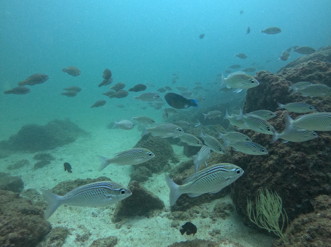 Paradise Blue Center-迪拜必去景点