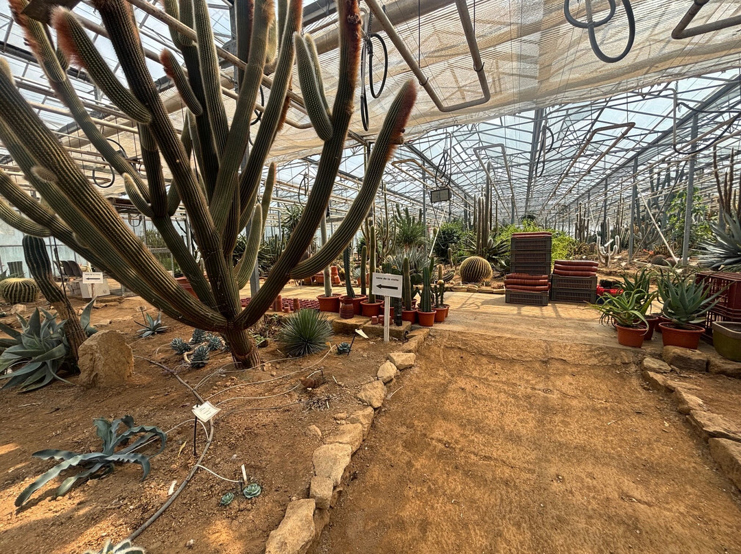 Cactuseraie de Creismeas-Guipavas必去景点