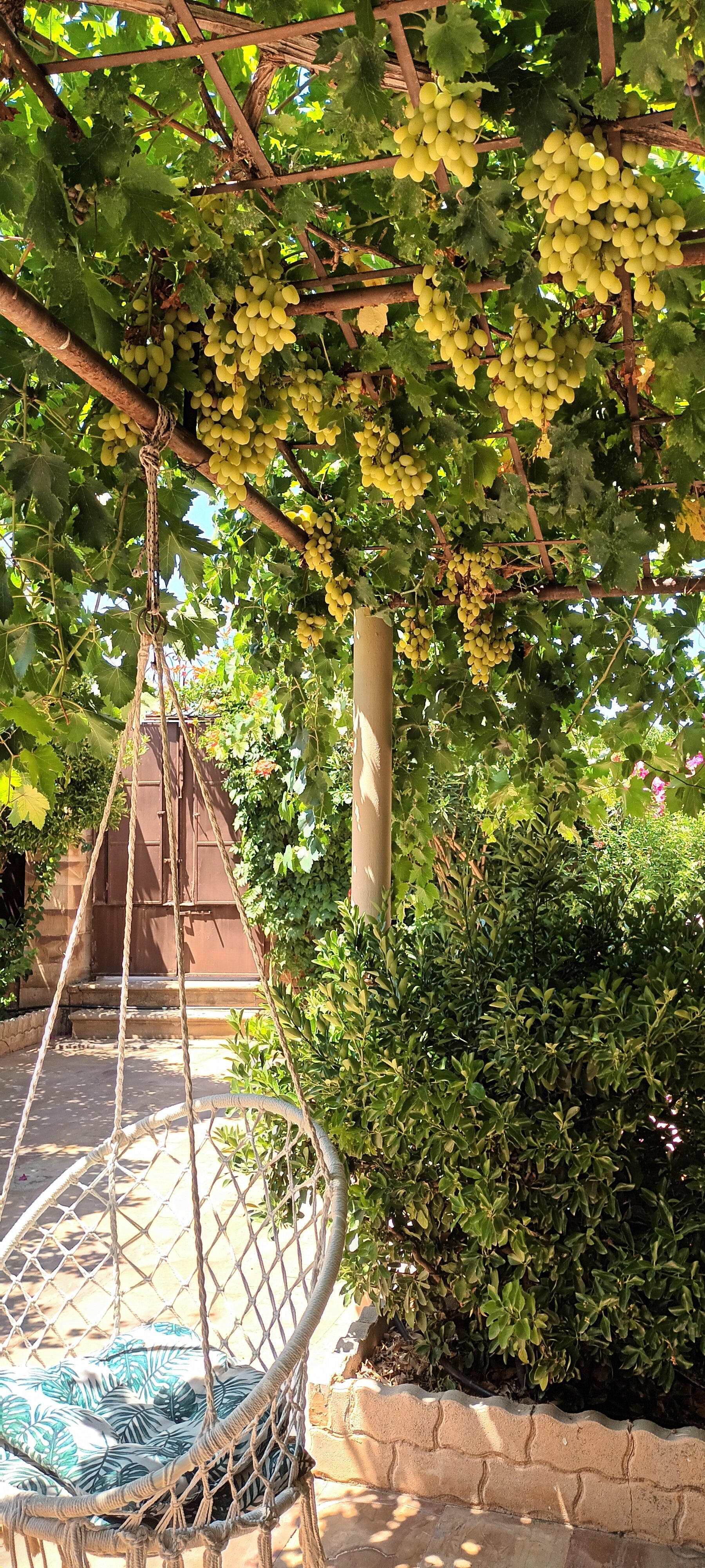 乌拉曼迪斯酒店-官方