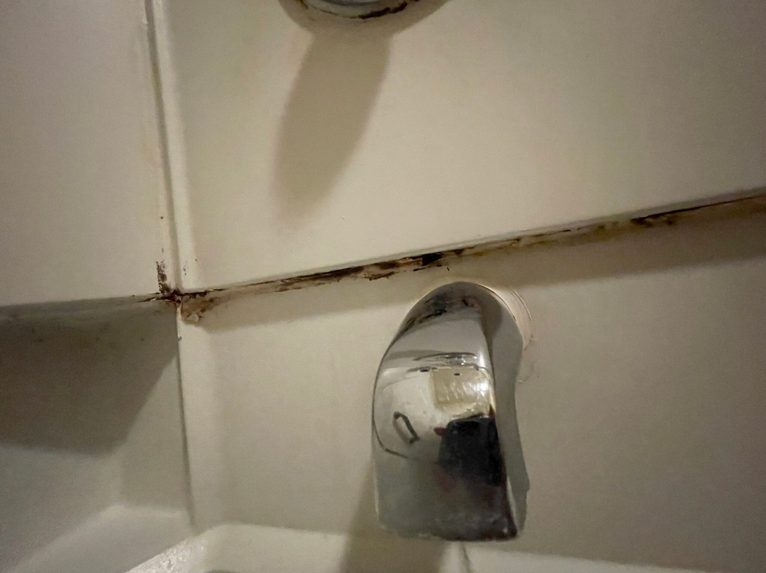 二十九棕榈村酒店住宿-贝斯特韦斯特约书亚树国家公园花园酒店