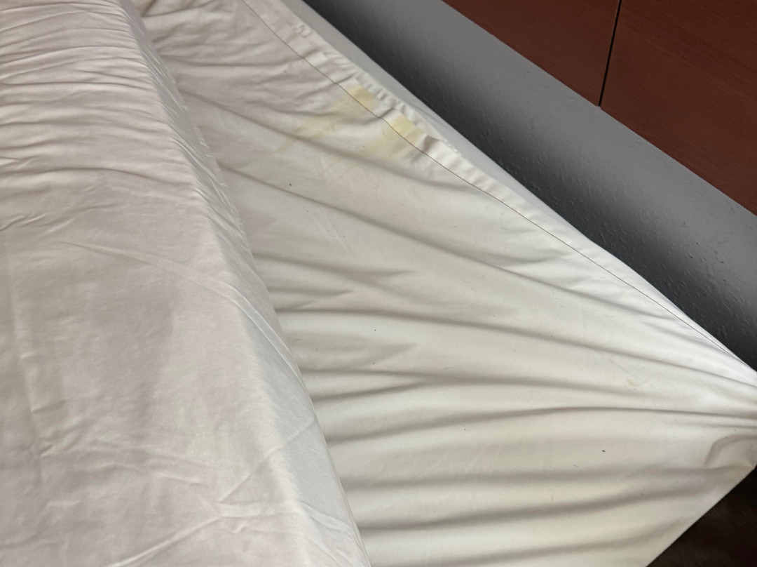 Quality Inn Manitowoc主图