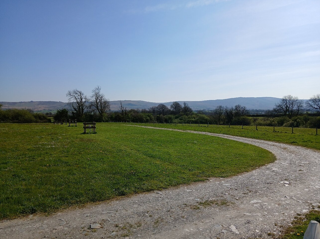 Dyfed Shire Horse Farm-Eglwyswrw必去景点