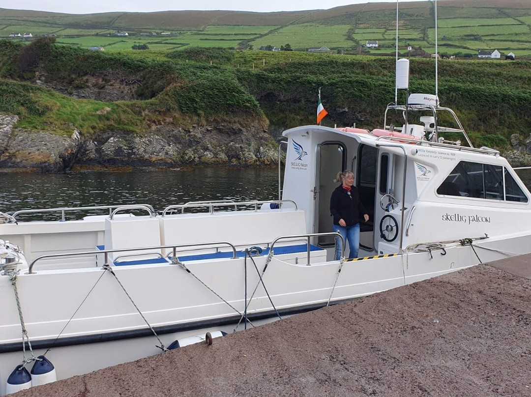 Skellig Falcon-Ballinskelligs必去景点