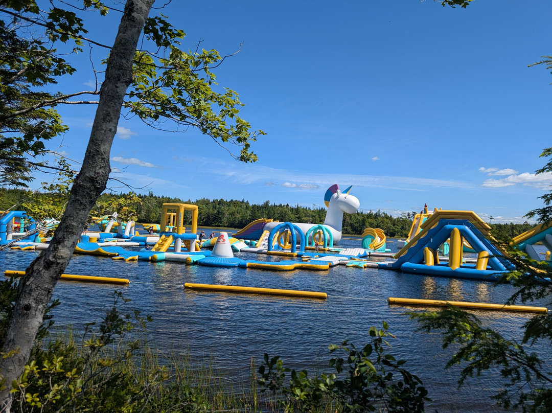 Splashifax-Hammonds Plains必去景点