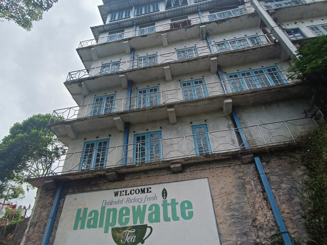 Halpewatte Tea Factory Tour-埃勒必去景点