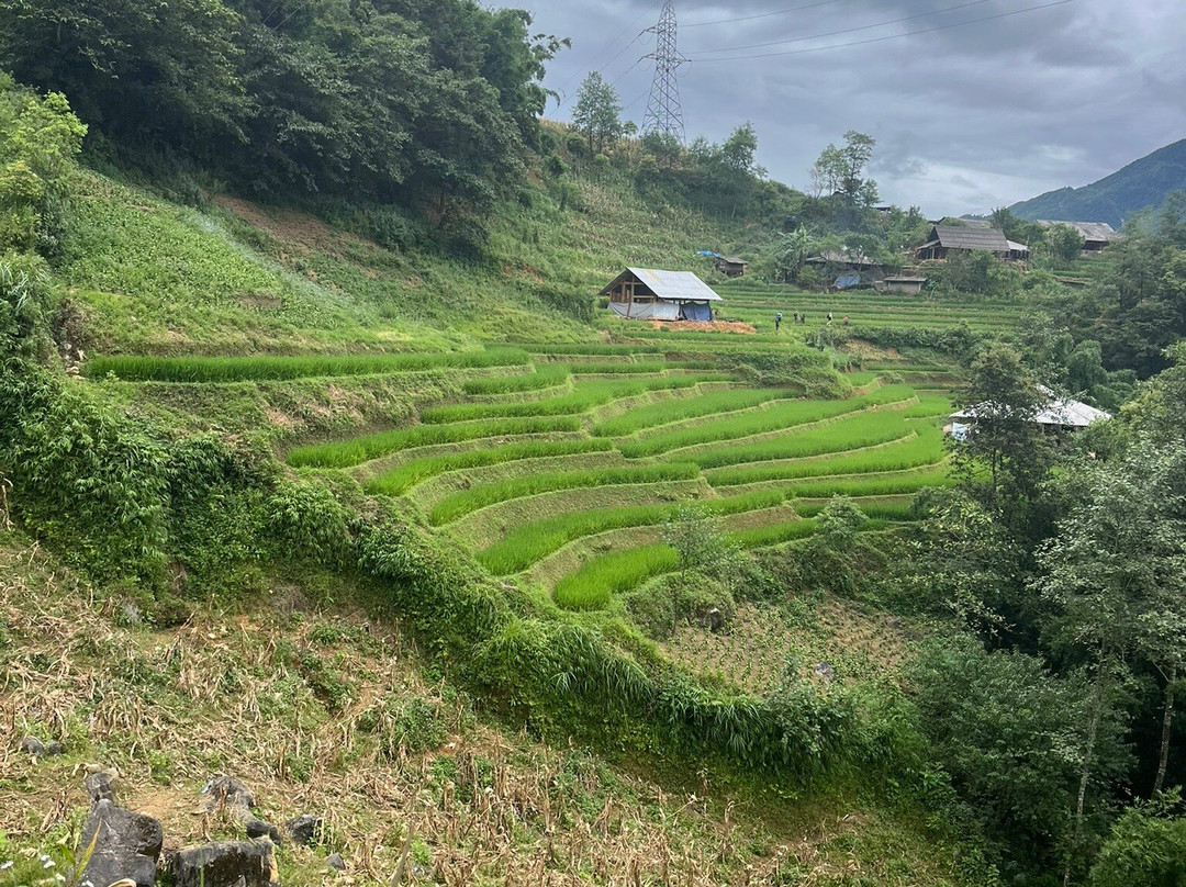 Vietnam travel and leisure-Hoang Mai必去景点