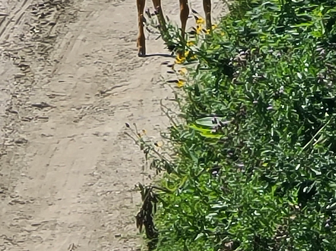 Deer Valley Golf Club-Lumsden必去景点