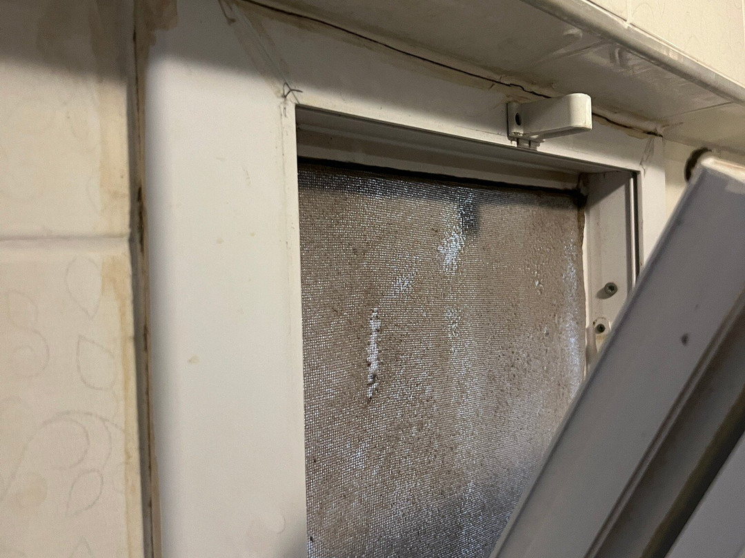 Foca Ensar Hotel主图