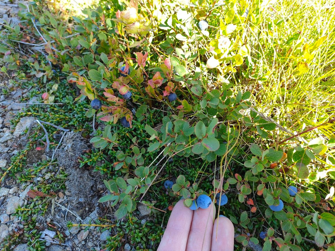 Golzentipp-Obertilliach必去景点