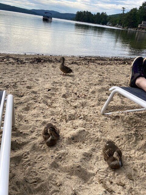 Newfound Lake-Grafton必去景点