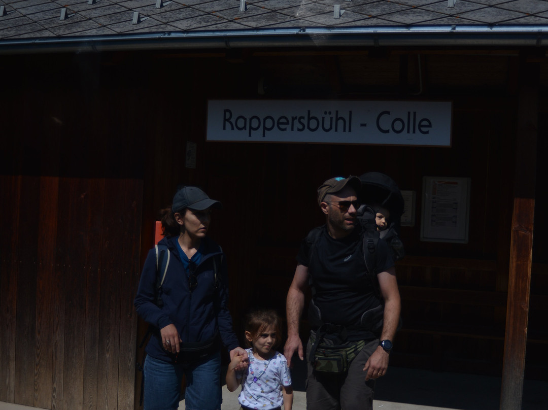 Treno Renon-Collalbo必去景点