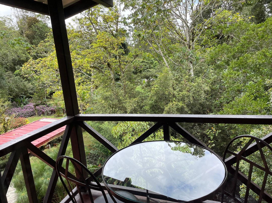 Hotel Dos Rios主图