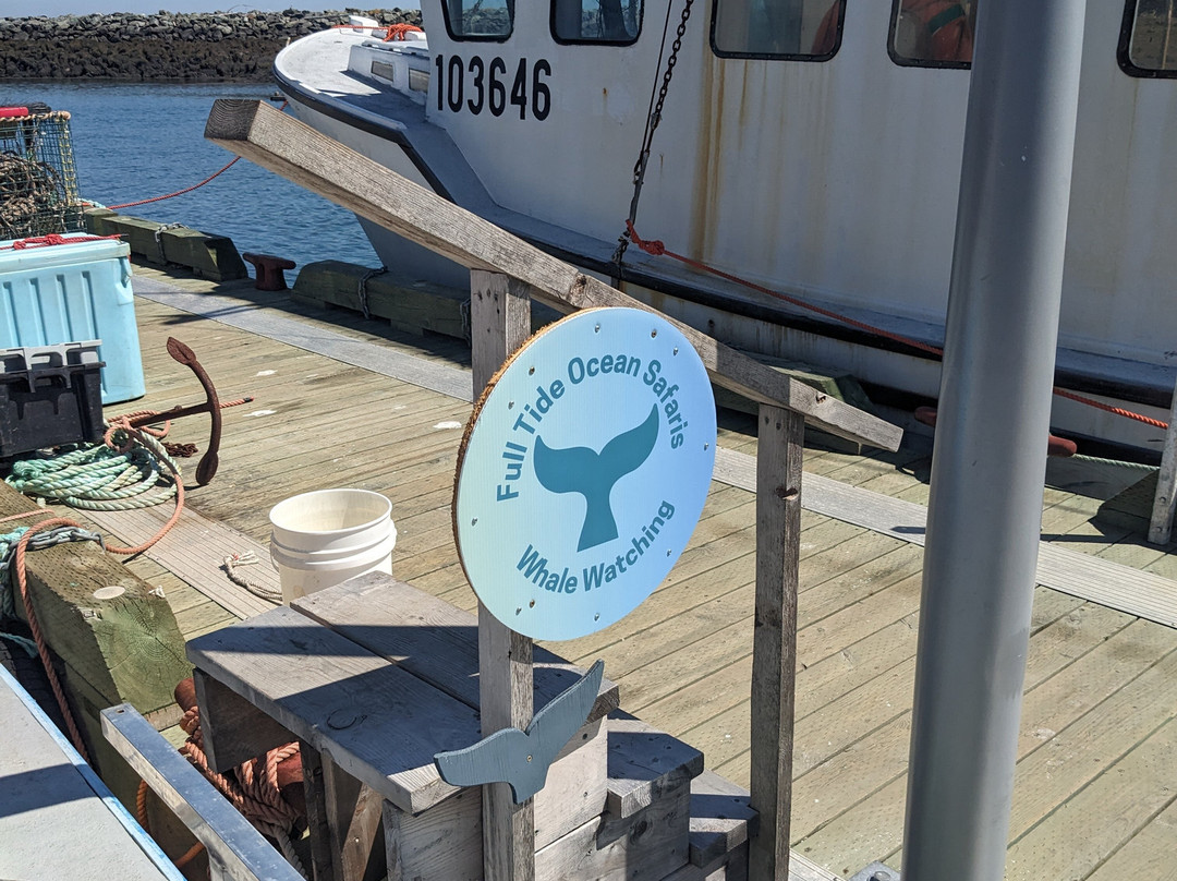 Full Tide Ocean Safaris-Deer Island必去景点