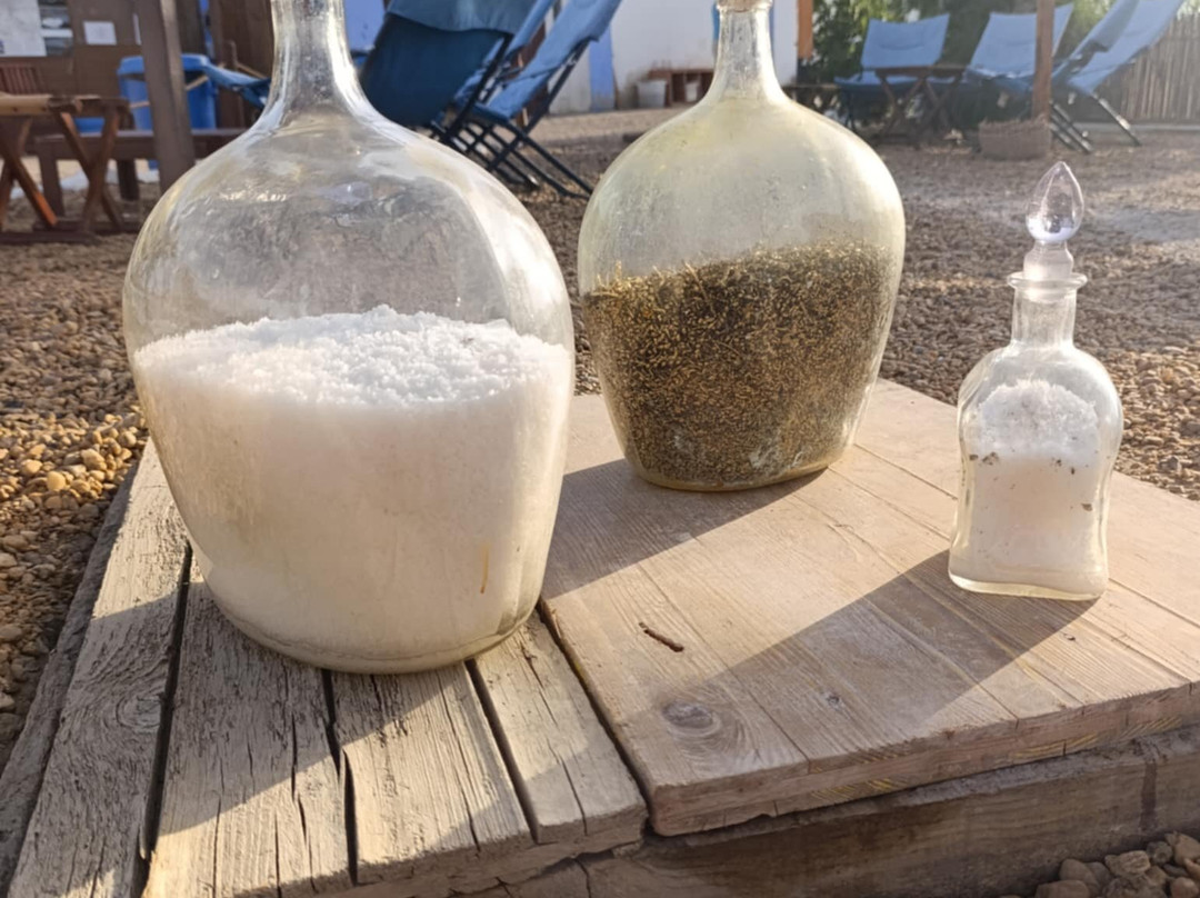 SPA Salino-Castro Marim必去景点