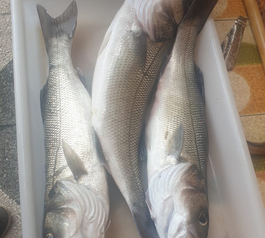 Casona  De Tresali主图