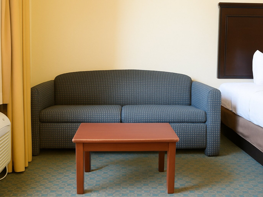 Ambassador Inn & Suites - Tuscaloosa主图