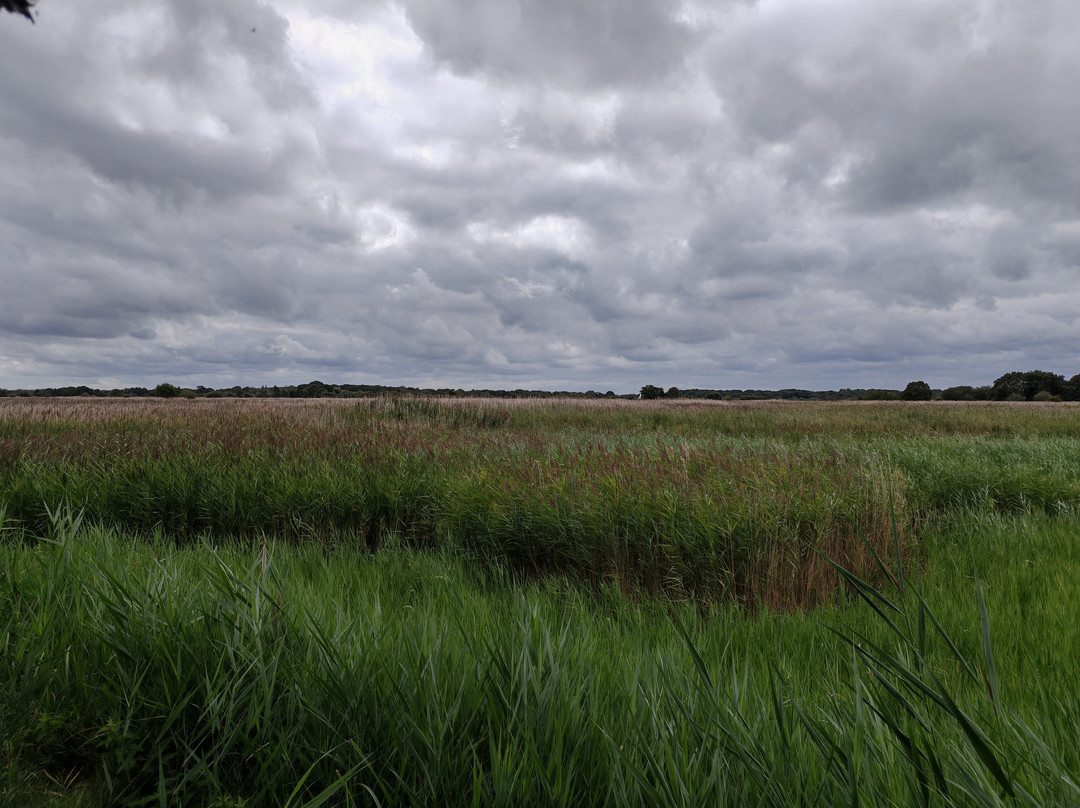 Hickling Broad and Marshes-诺福克郡必去景点