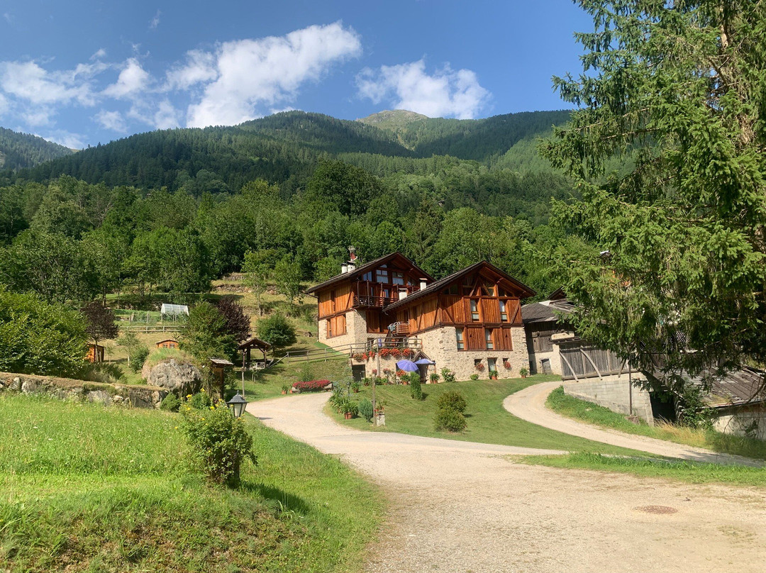 Maso Fior di Bosco主图