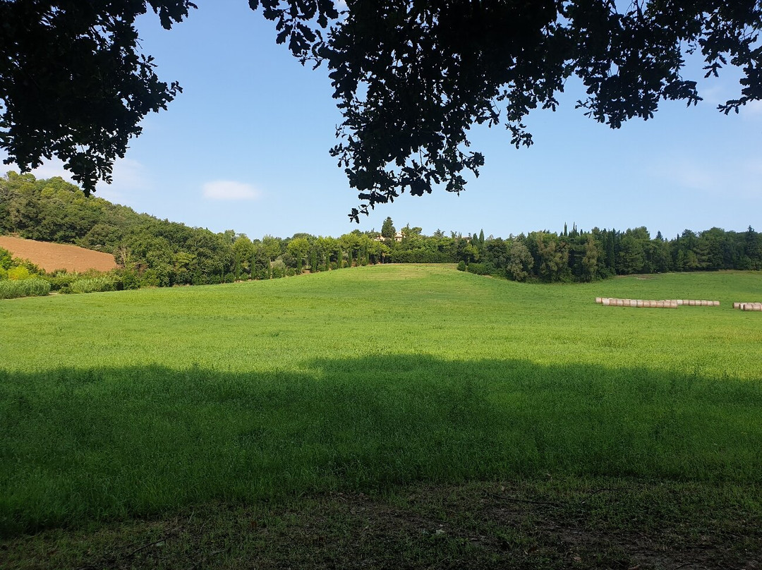 Hotel Villa Cattani Stuart主图