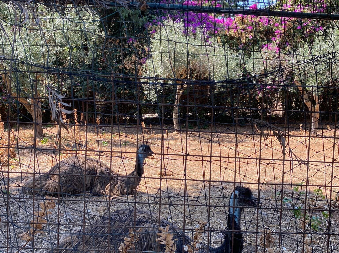 Bioparco Di Sicilia-Carini必去景点
