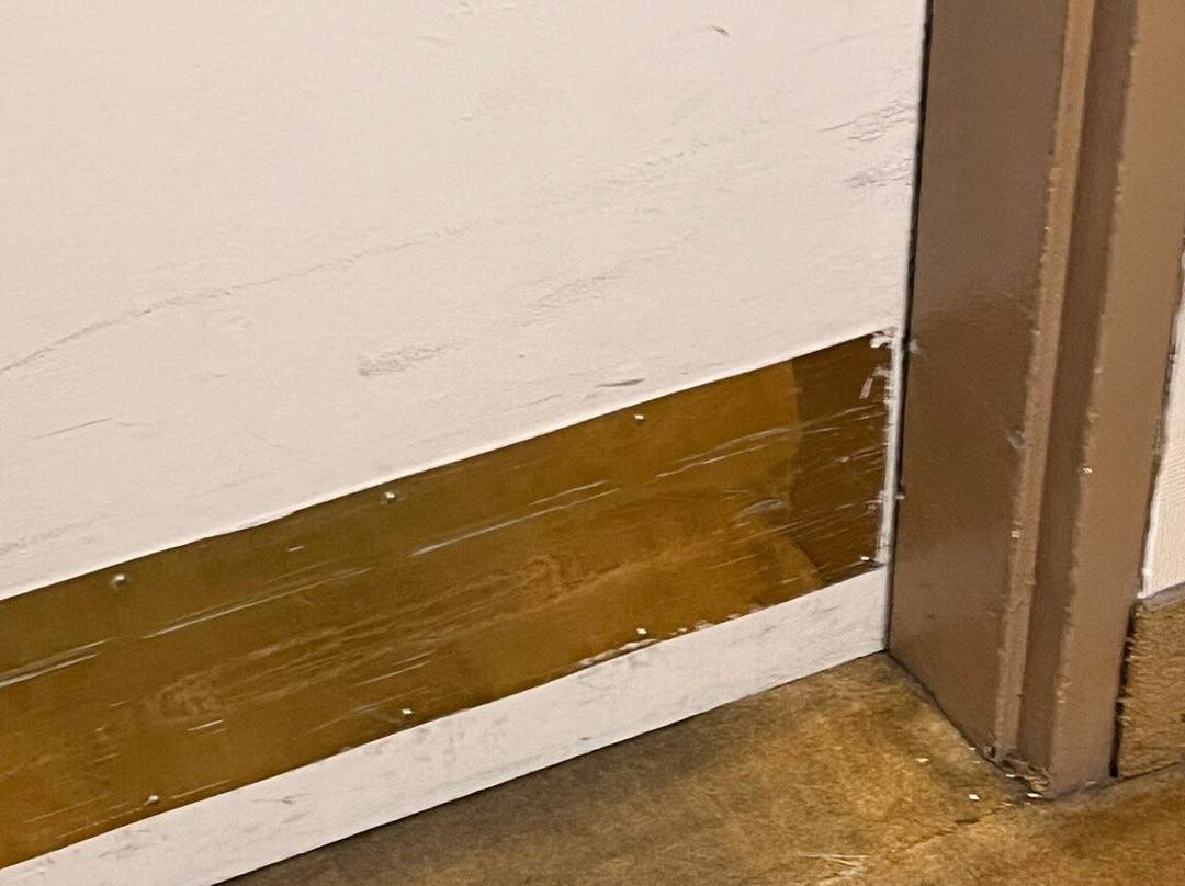 Holiday Inn Bloomington-University Area by IHG主图