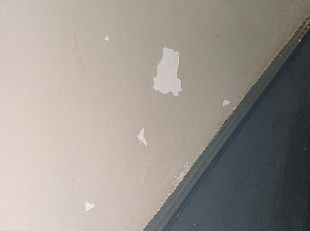 The Black Lion Hotel主图