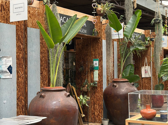 Restock Galeria Gallery-沙尔必去景点