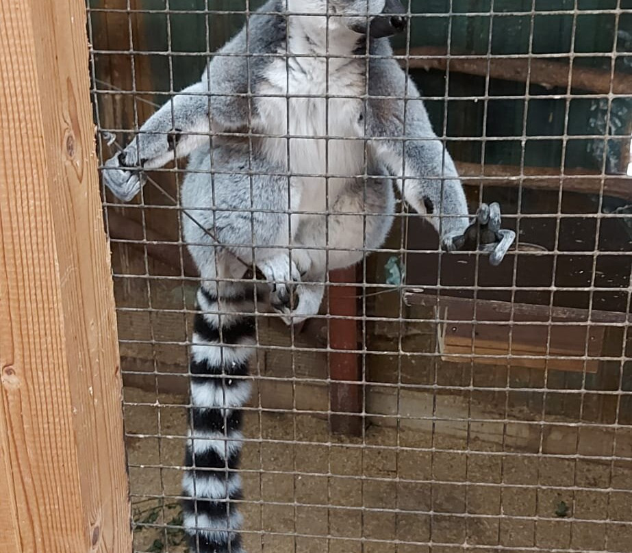 Blåvand Zoo-Blaavand必去景点