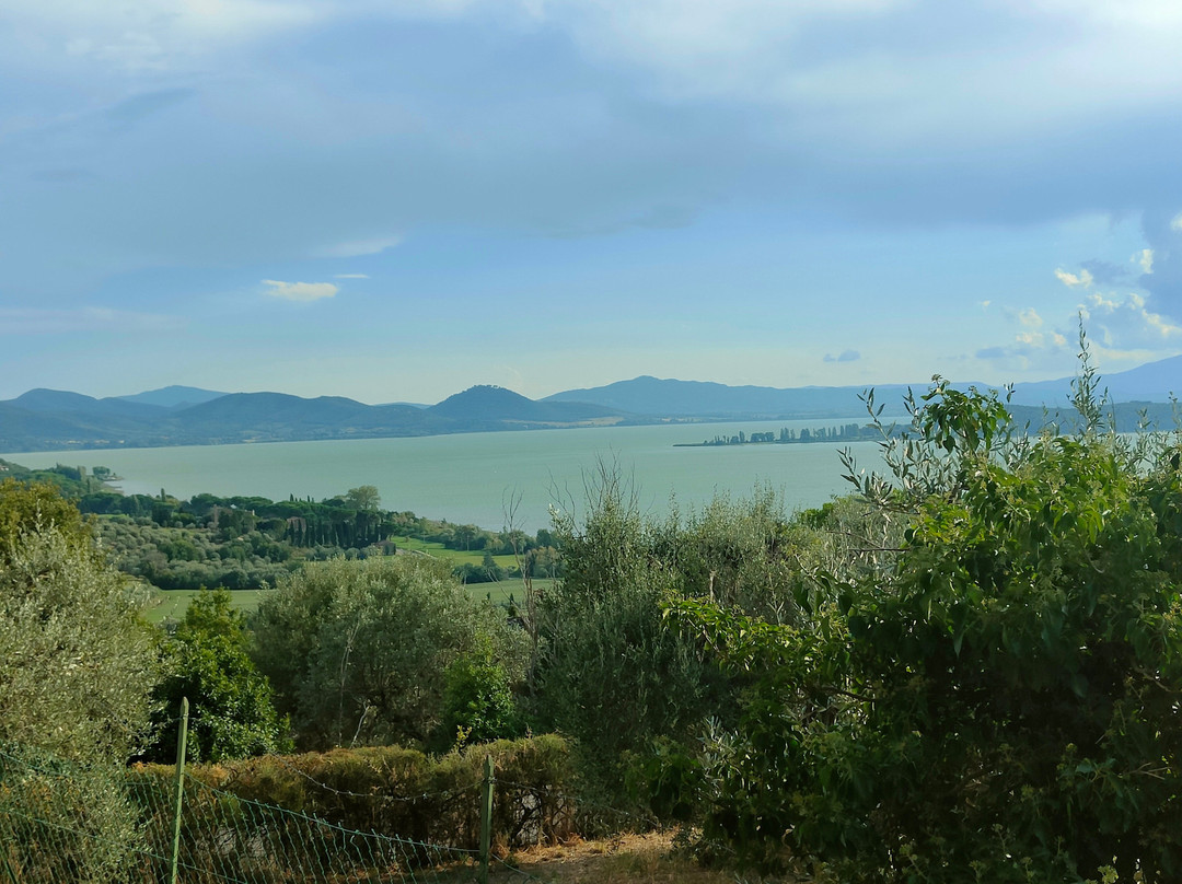 Isole e Tramonti主图