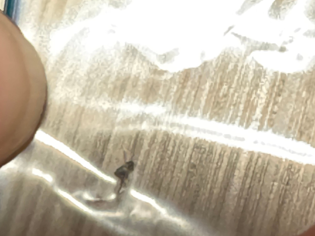 My Place Hotel - Minneapolis/Shakopee, MN主图