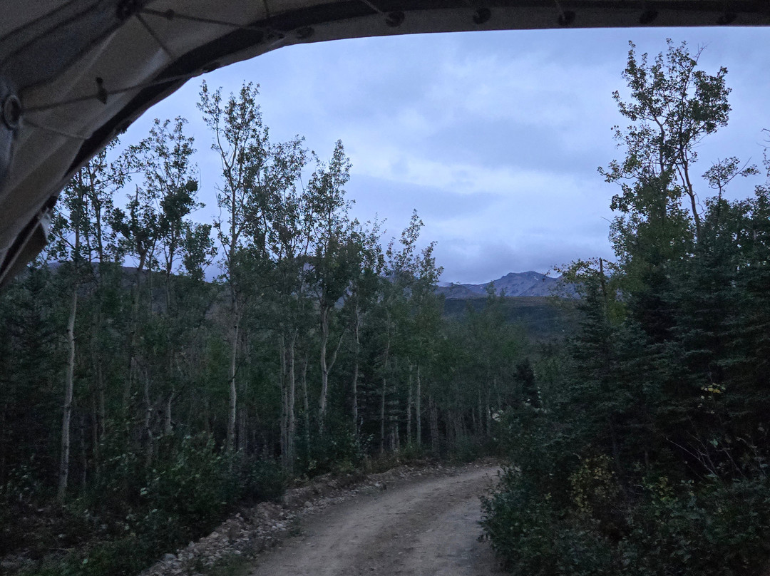 Denali Black Diamond Covered Wagon-Denali Park必去景点