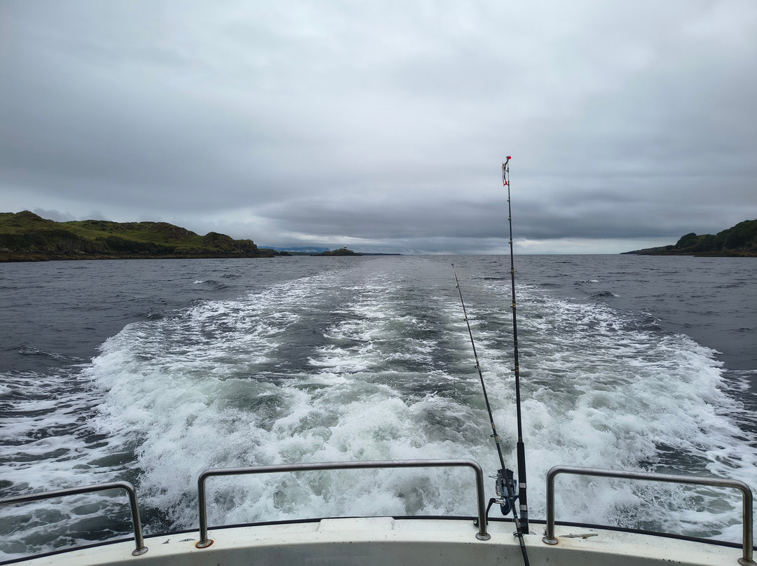 Killybegs Boat Tours