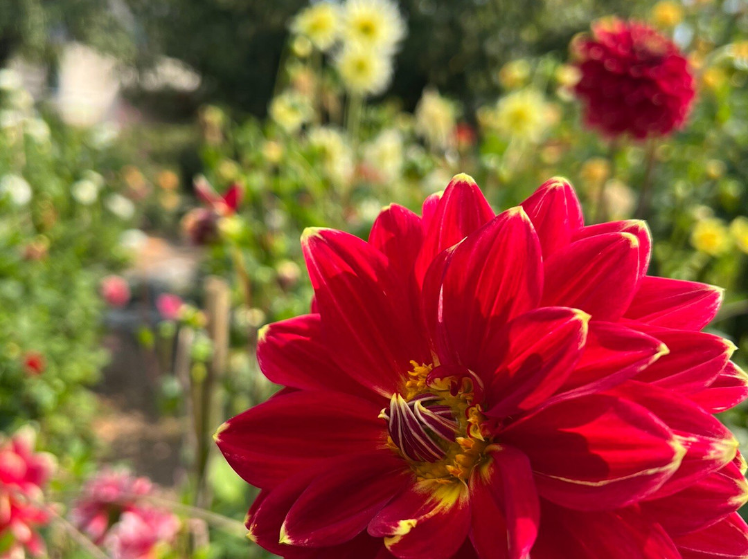 Ashram de Yoga Sivananda主图