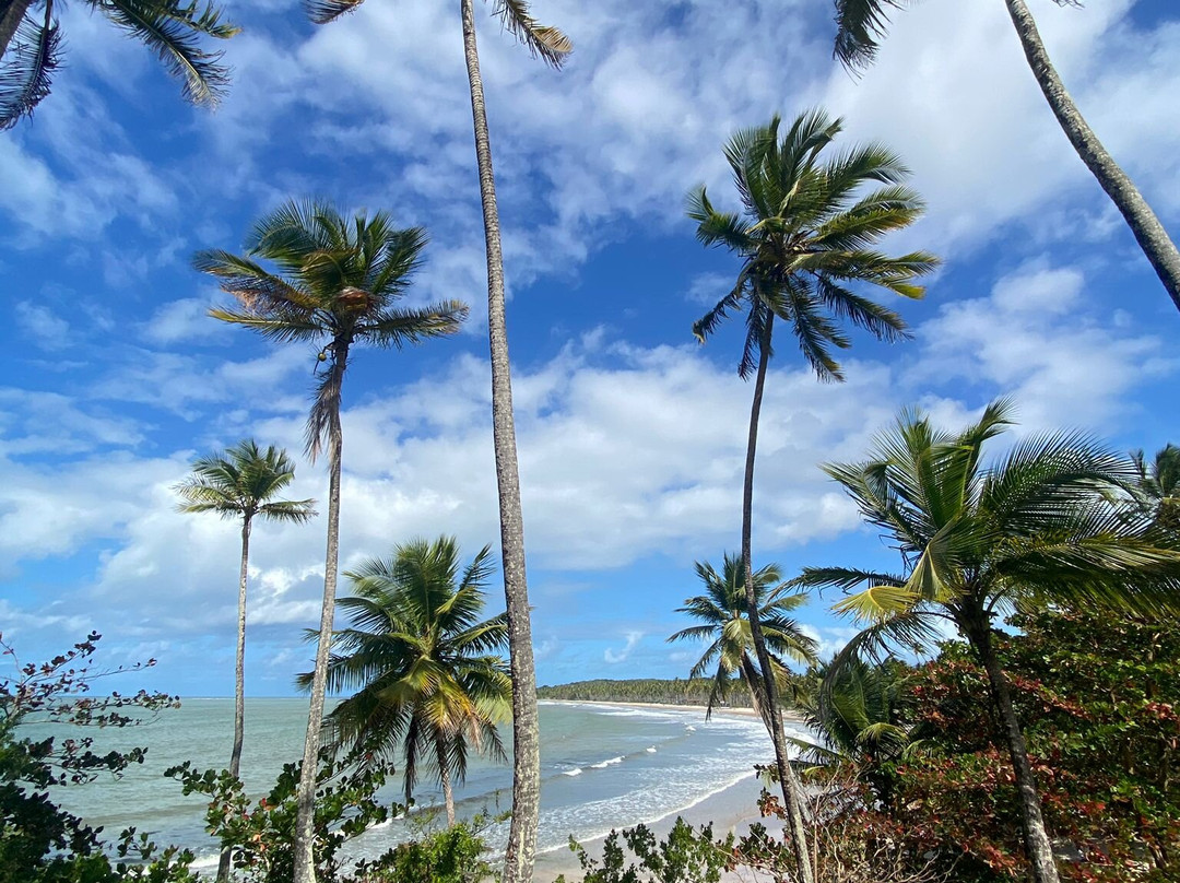 BahiaB Ecotourisme-Ilha de Boipeba必去景点