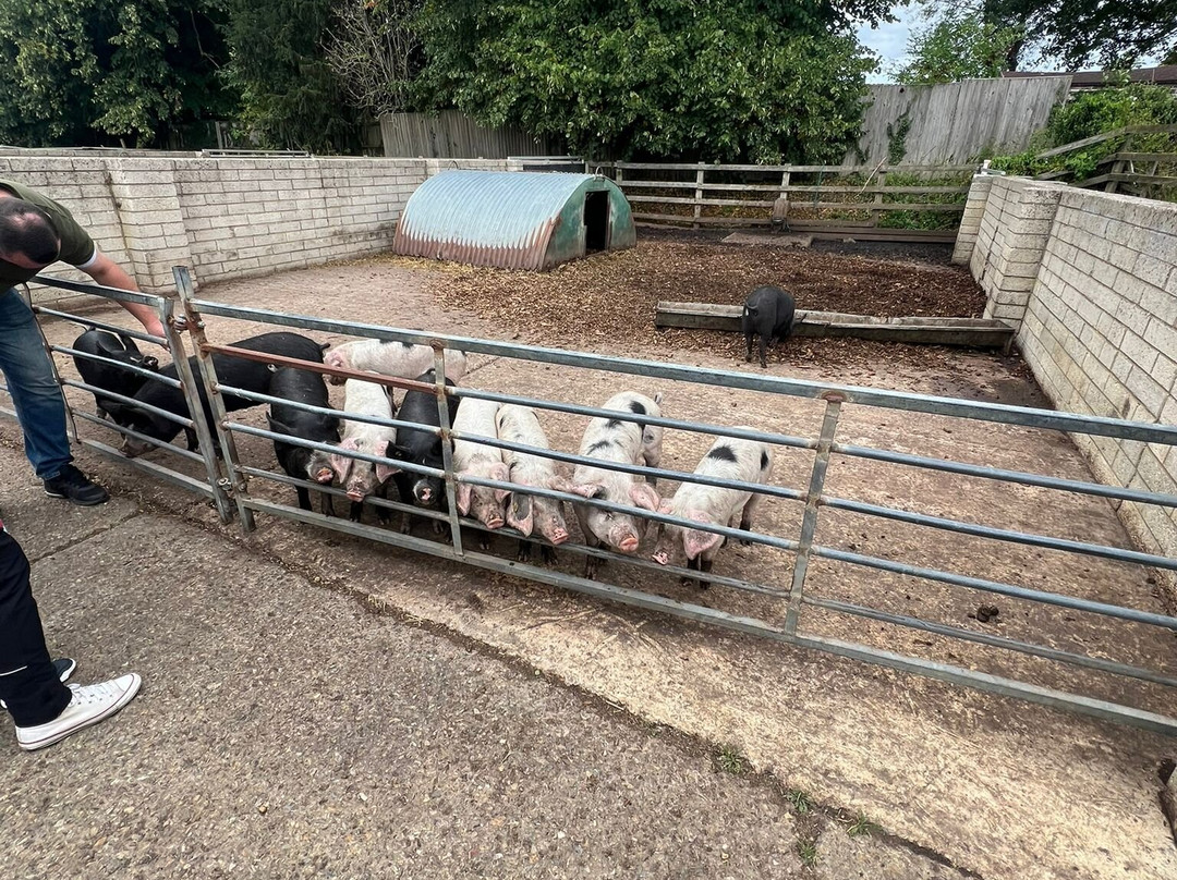 Church Farm - Stow Bardolph-Stow Bardolph必去景点