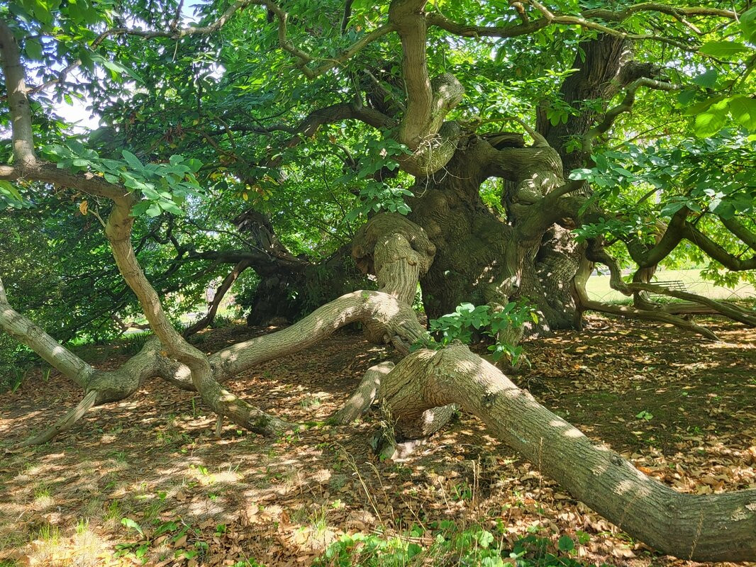 Doddington Hall & Gardens-Doddington必去景点